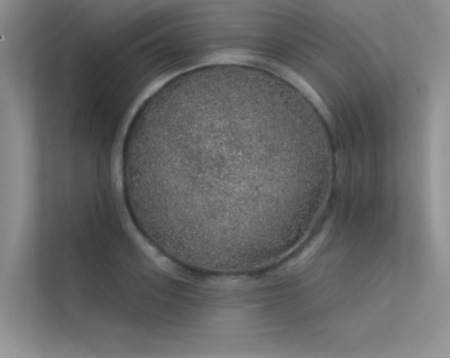 X0000112380939200908131526