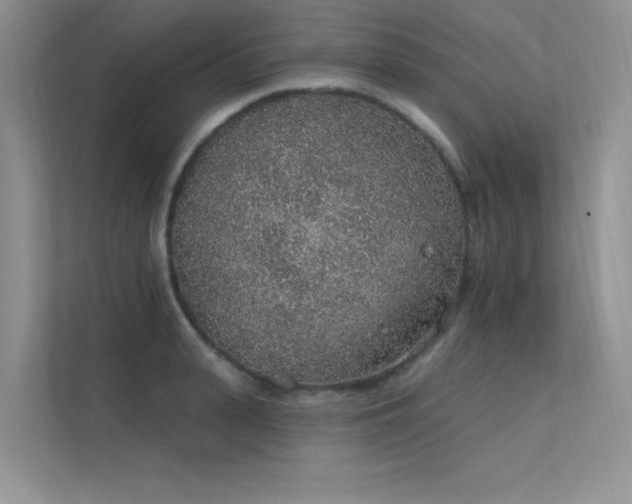 X0000112380943200908131526