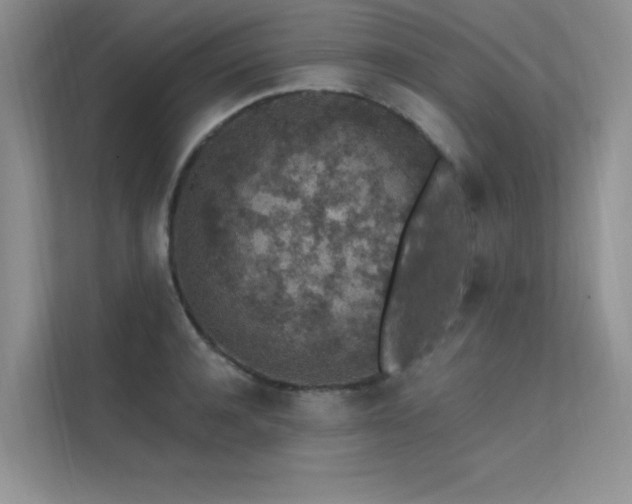 X0000112380944200908131526