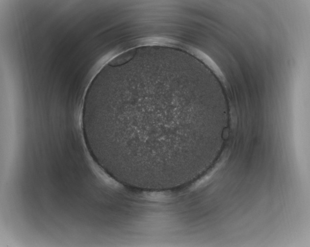 X0000112380946200908131526