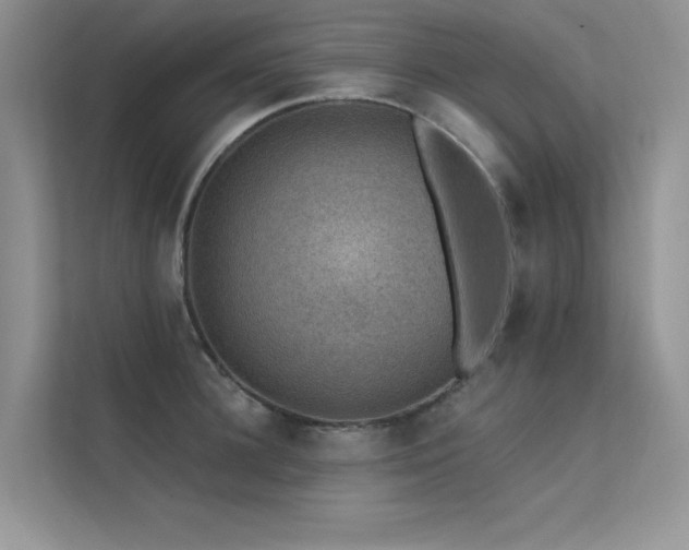 X0000112380948200908131526