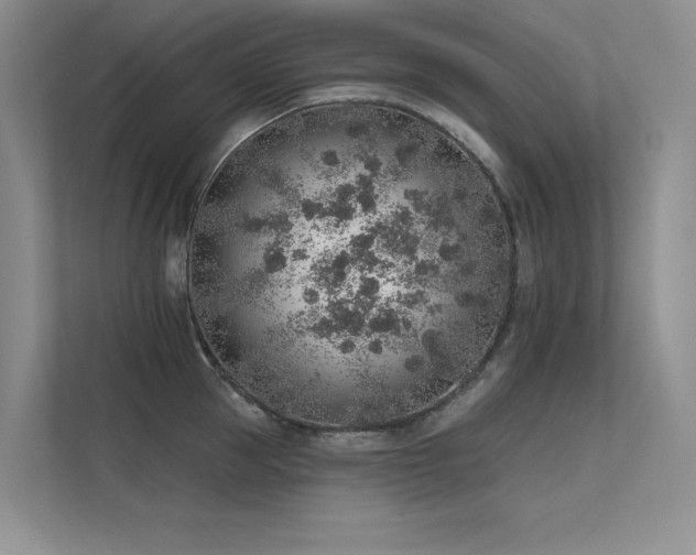 X0000112380953200908131526