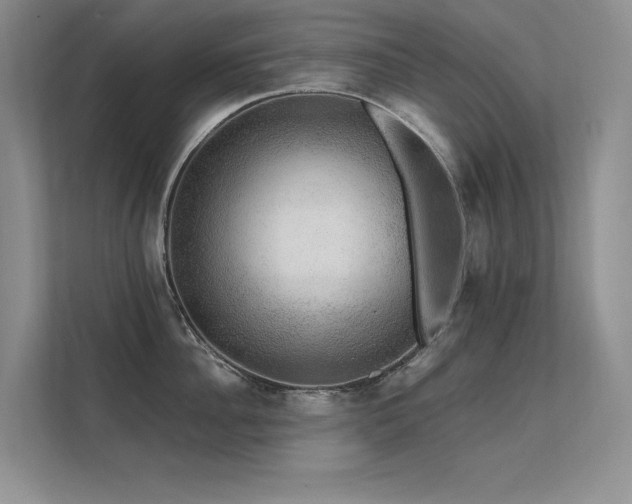 X0000112380956200908131526