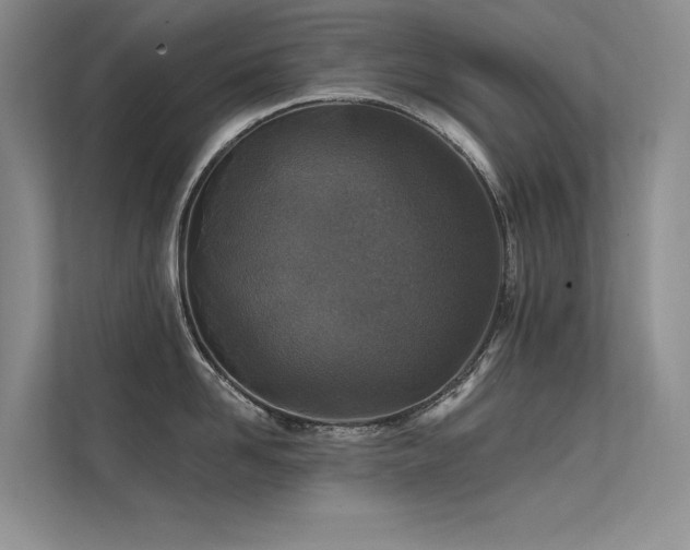 X0000112380958200908131526