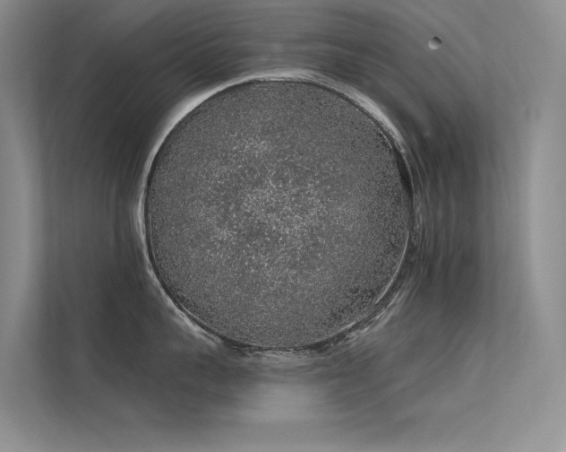 X0000112380959200908131526