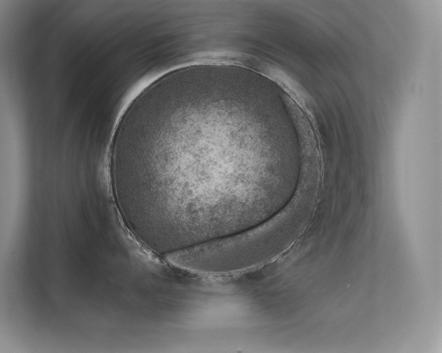 X0000112380960200908131526