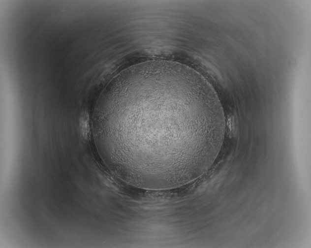 X0000112380963200908131526