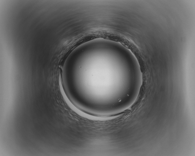 X0000112380965200908131526