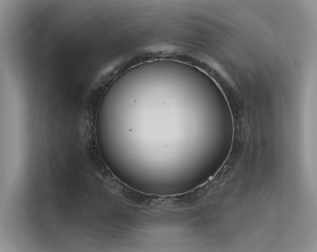 X0000112380967200908131526