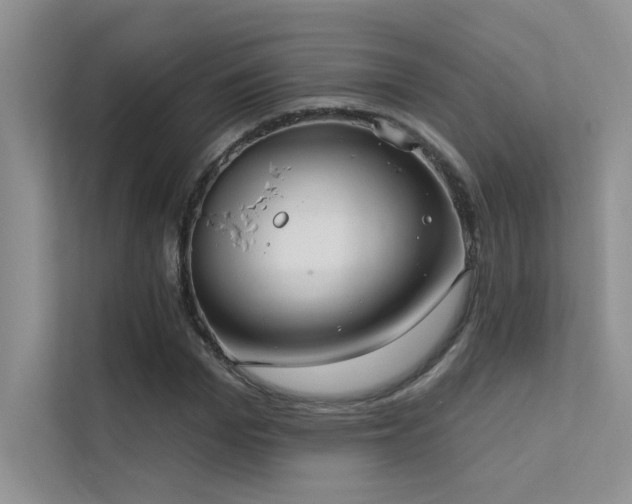 X0000112380969200908131526