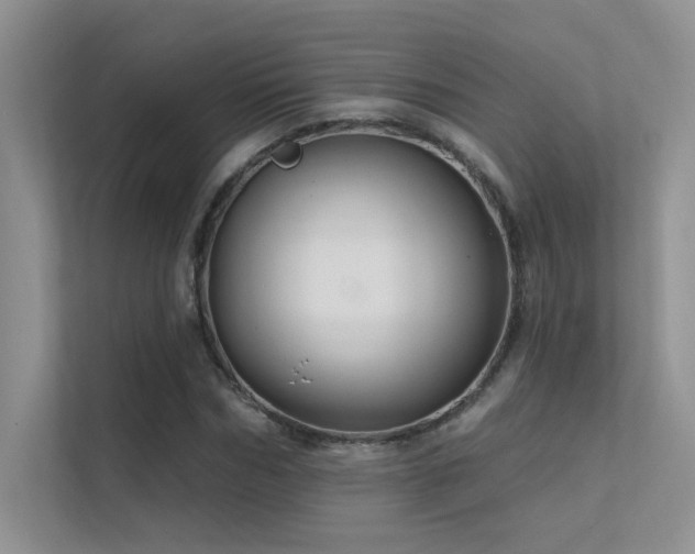 X0000112380970200908131526