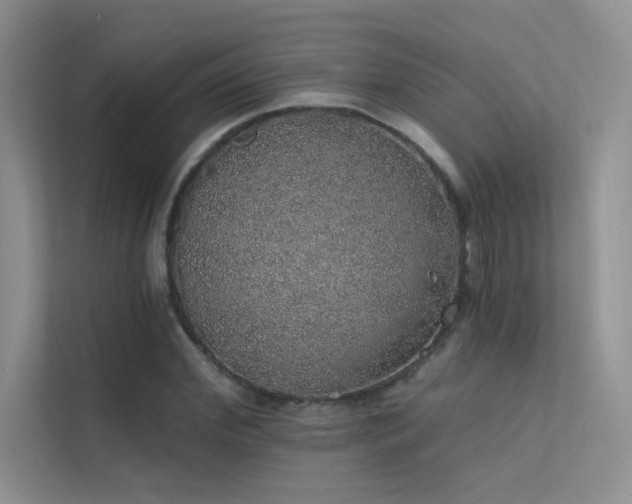 X0000112380972200908131525