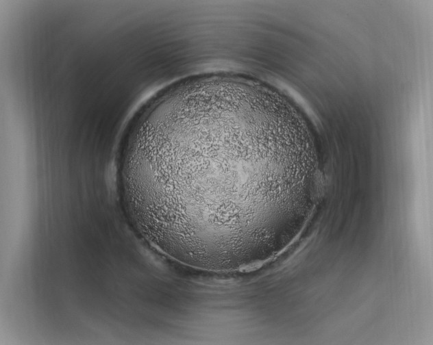 X0000112380975200908131525