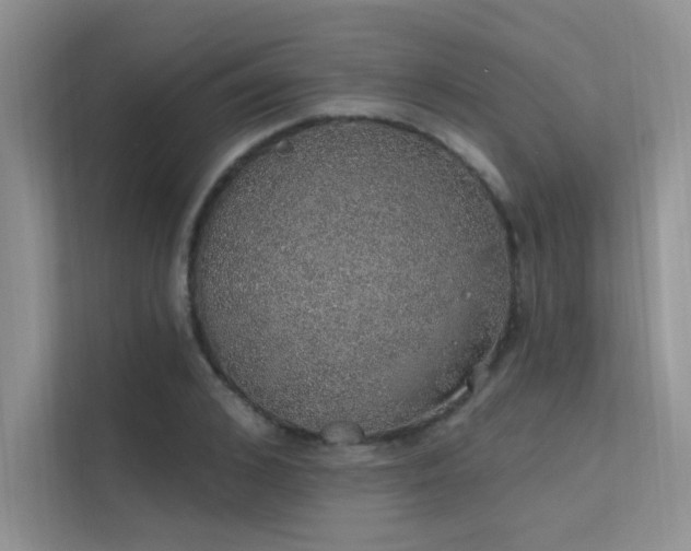 X0000112380976200908131525