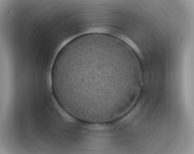 X0000112380980200908131525