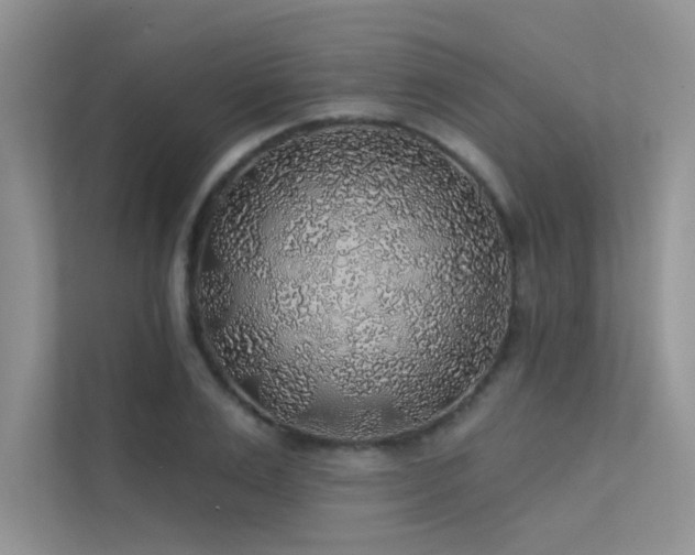 X0000112380983200908131525