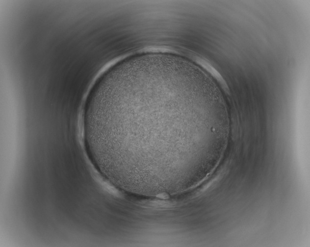 X0000112380984200908131525