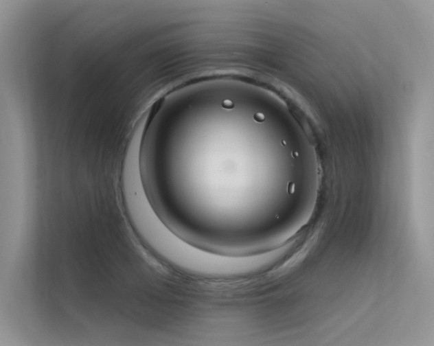 X0000112380985200908131525