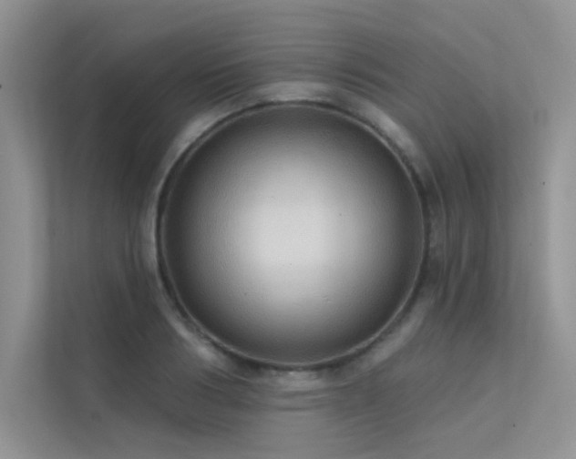 X0000112380986200908131525