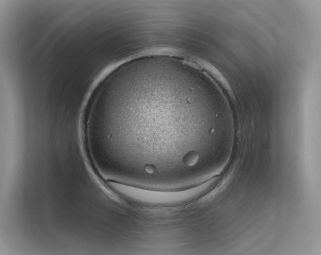 X0000112380989200908131525