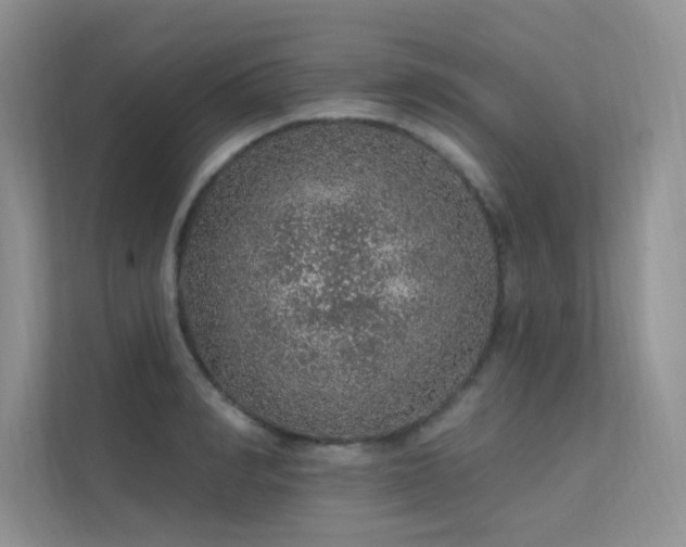 X0000112380990200908131525