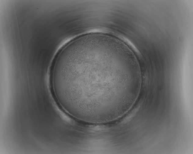 X0000112380991200908131525