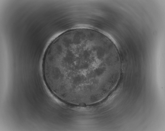 X0000112380995200908131525