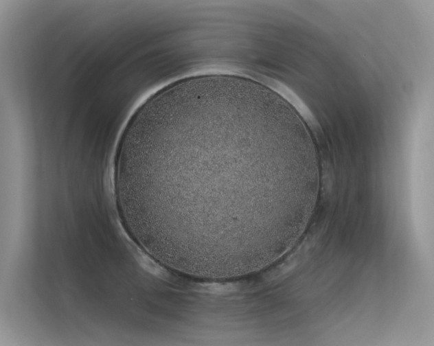 X0000112380996200908131525