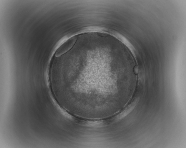 X0000112380997200908131525