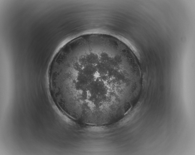 X0000112380998200908131525