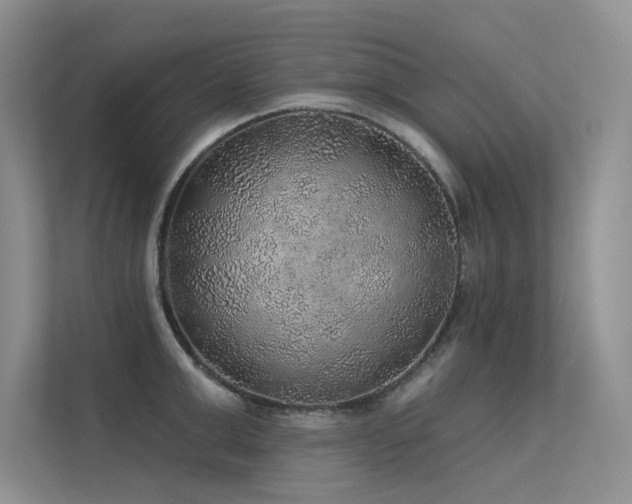 X0000112380999200908131525