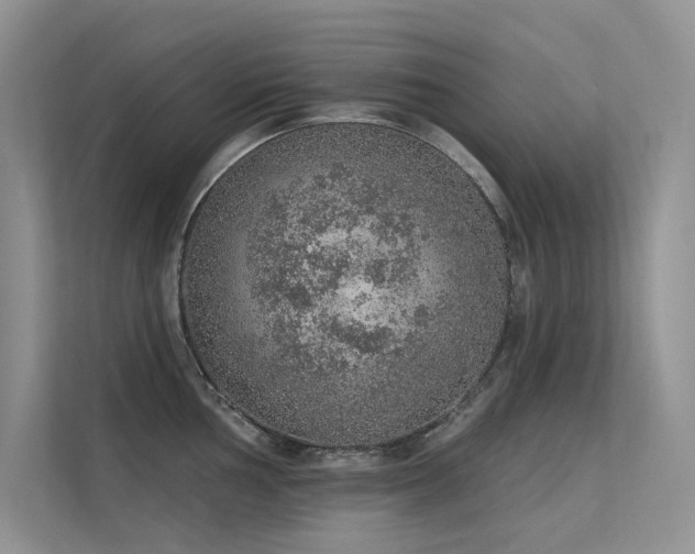 X0000112381002200908131525