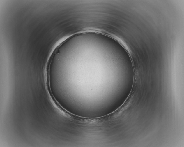 X0000112381003200908131525