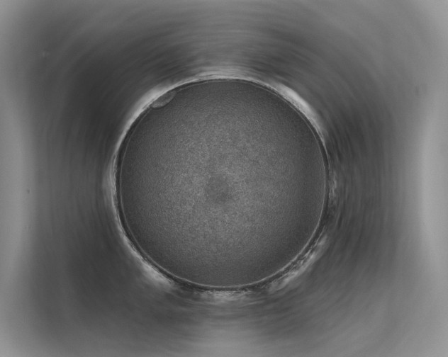 X0000112381005200908131525