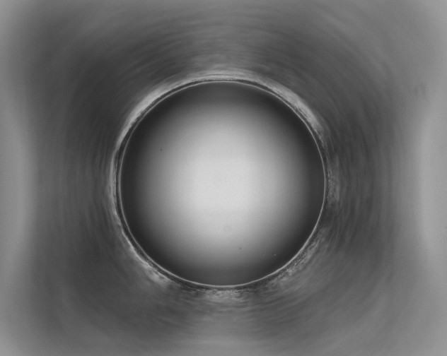 X0000112381006200908131525