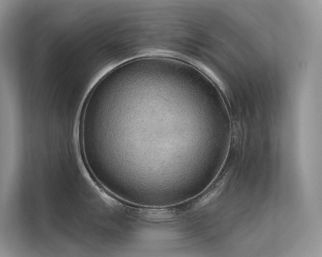 X0000112381007200908131525