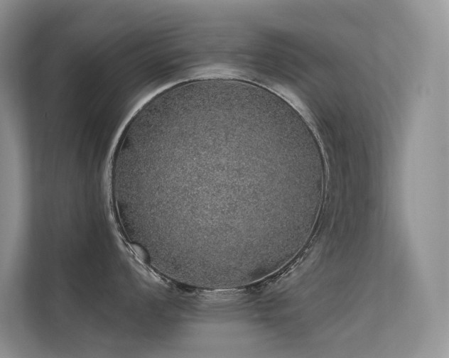 X0000112381008200908131525