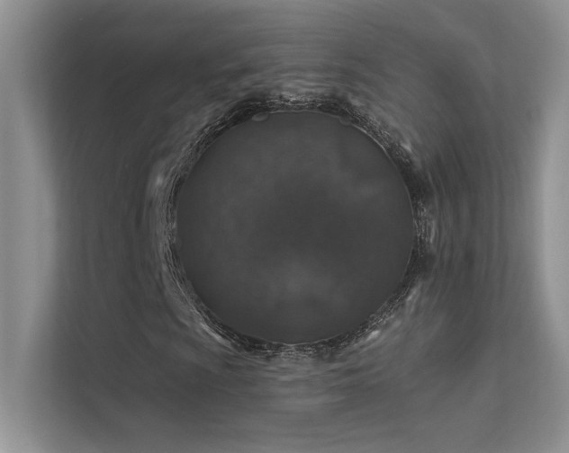 X0000112381009200908131524