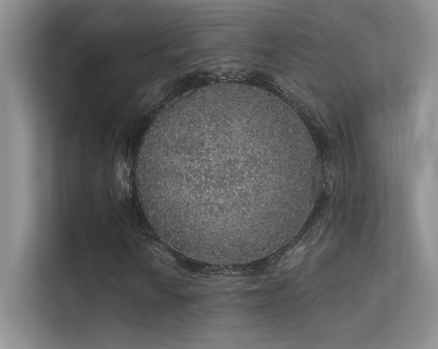 X0000112381010200908131524