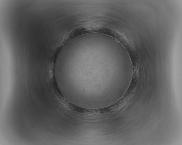 X0000112381012200908131524