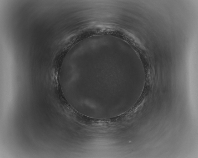 X0000112381013200908131524