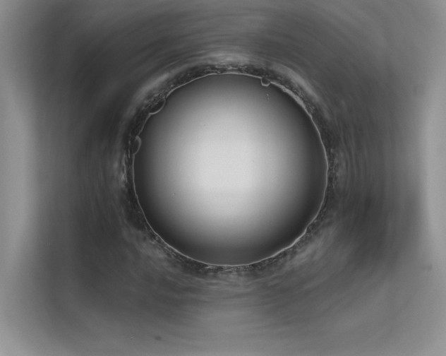 X0000112381016200908131524