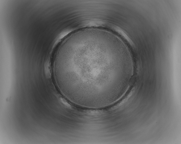 X0000112381018200908131525