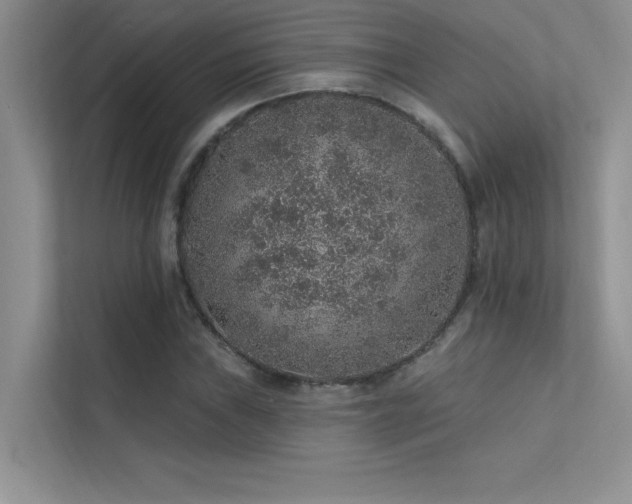 X0000112381019200908131525