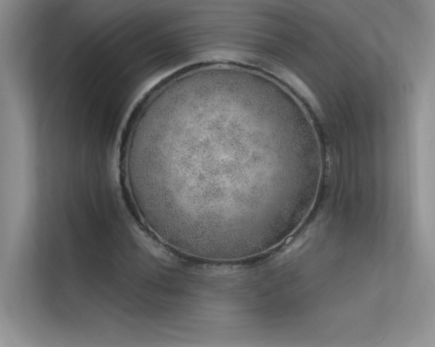 X0000112381020200908131525