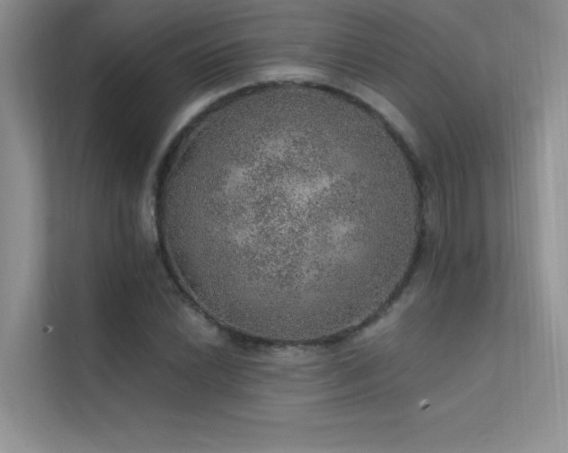 X0000112381022200908131525