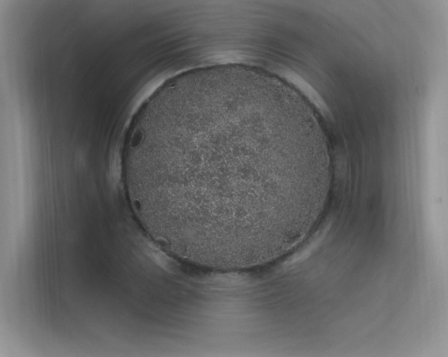 X0000112381023200908131525