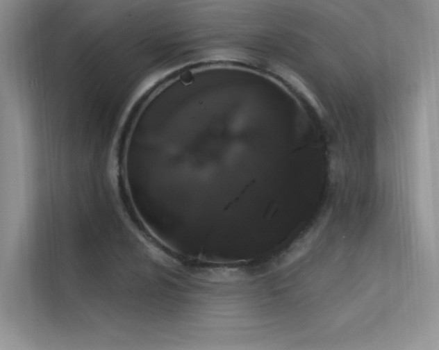 X0000112381024200908131525