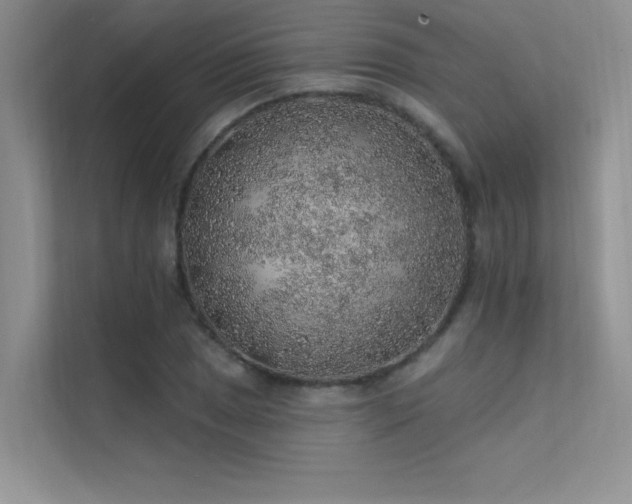 X0000112381025200908131525