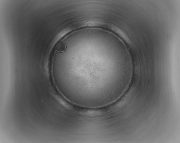 X0000112381026200908131525